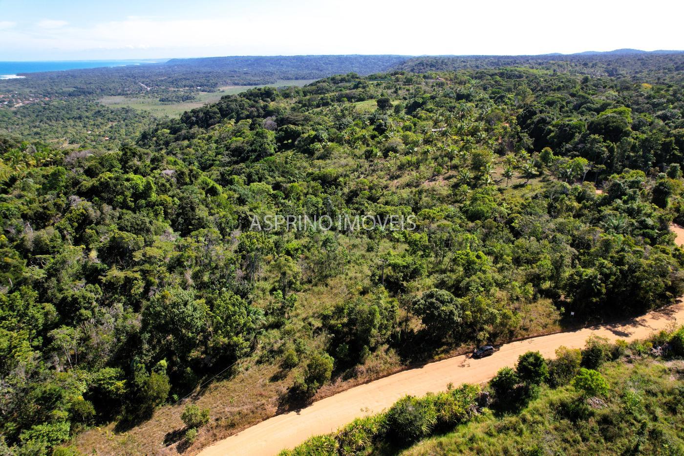 Terreno, 3 hectares - Foto 13