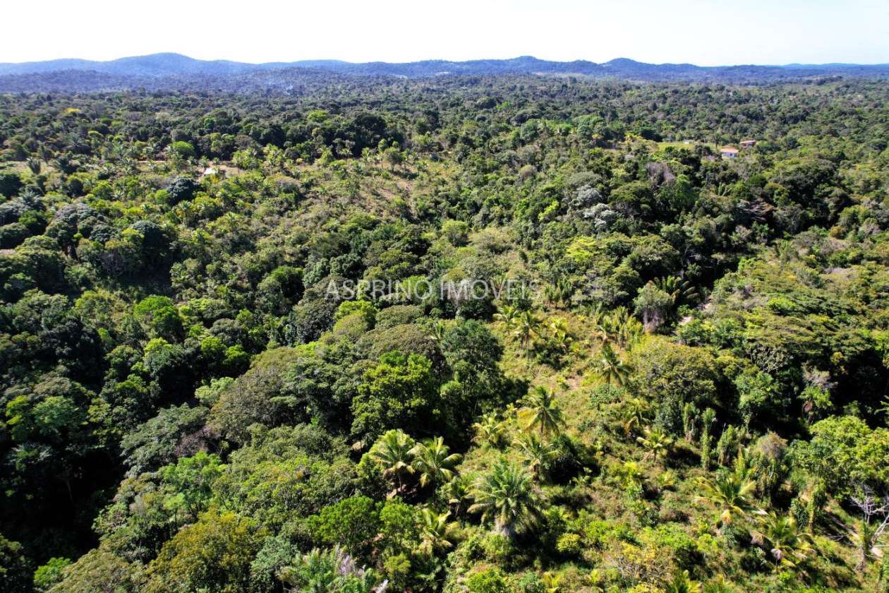 Terreno, 3 hectares - Foto 14