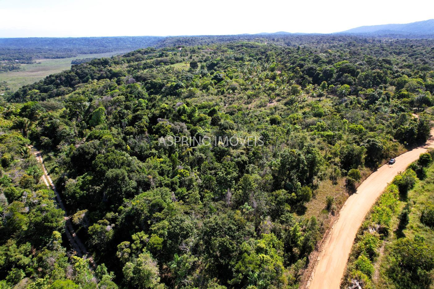 Terreno, 3 hectares - Foto 12