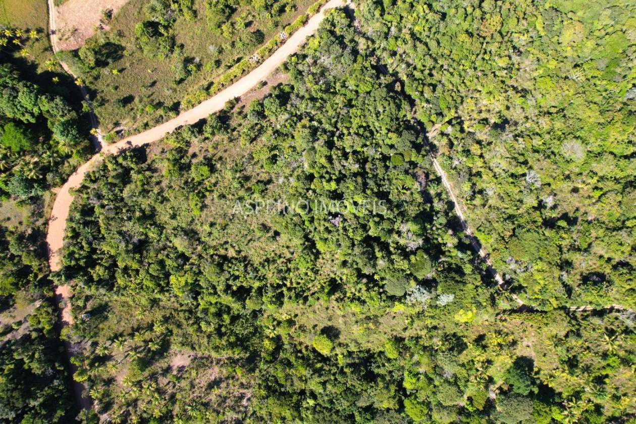Terreno, 3 hectares - Foto 8