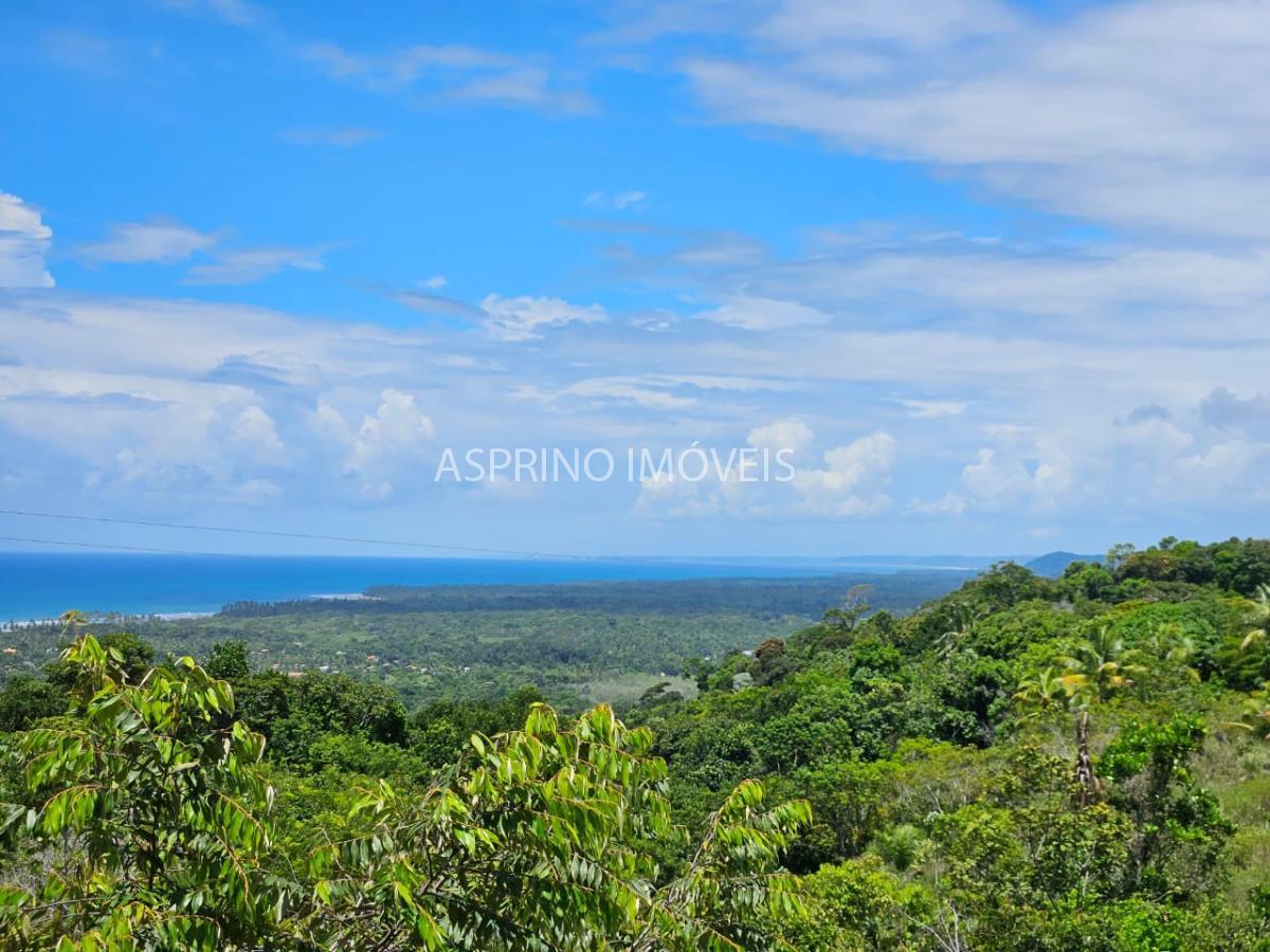 Terreno, 3 hectares - Foto 6