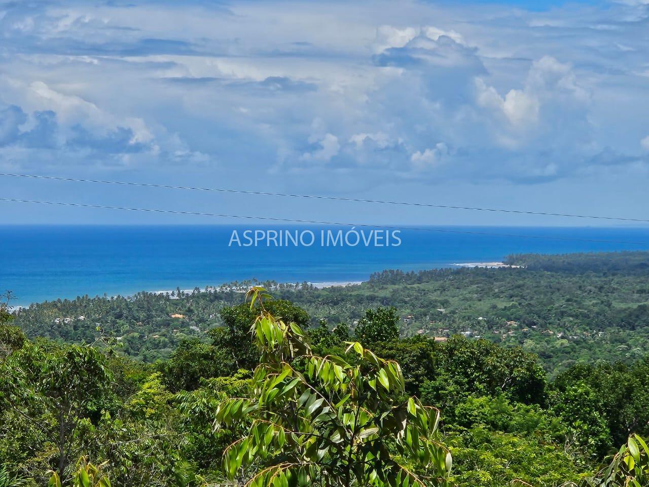 Terreno, 3 hectares - Foto 1