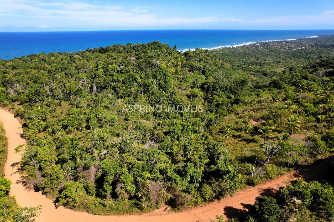 Terreno, 3 hectares - Foto 7
