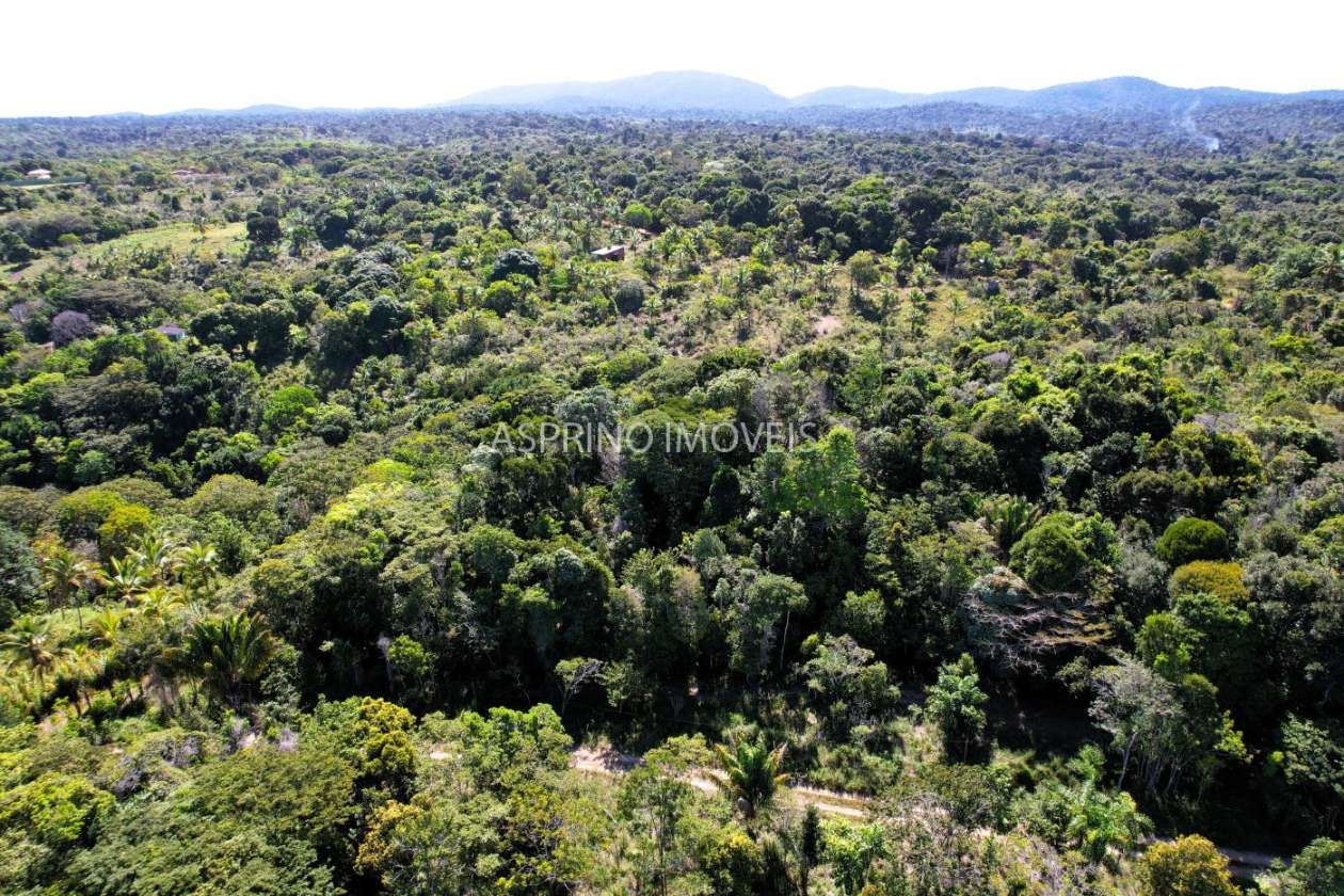 Terreno, 3 hectares - Foto 15