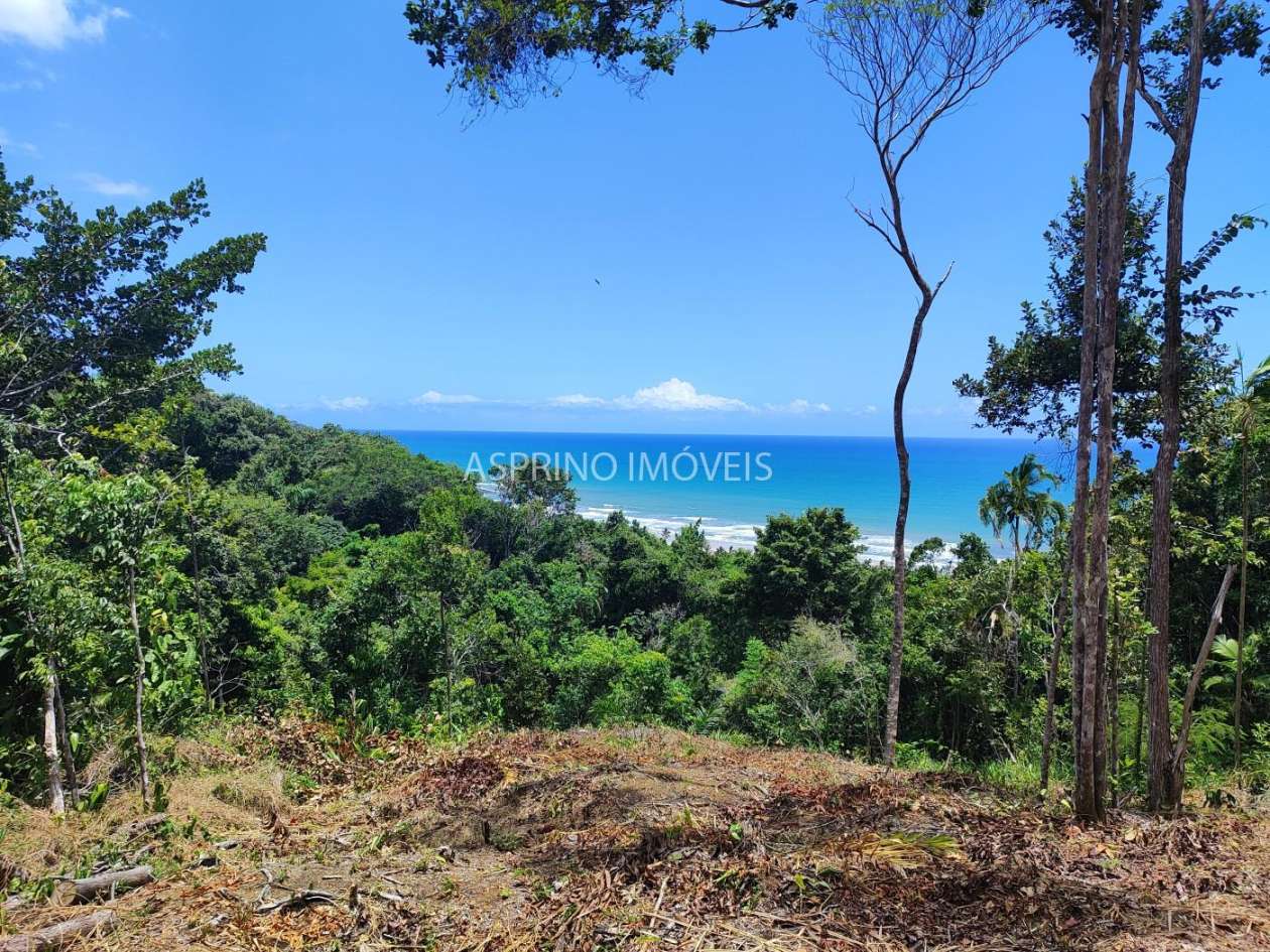 Terreno, 5 hectares - Foto 4