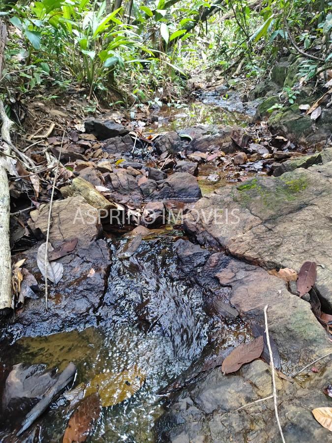 Terreno, 5 hectares - Foto 7