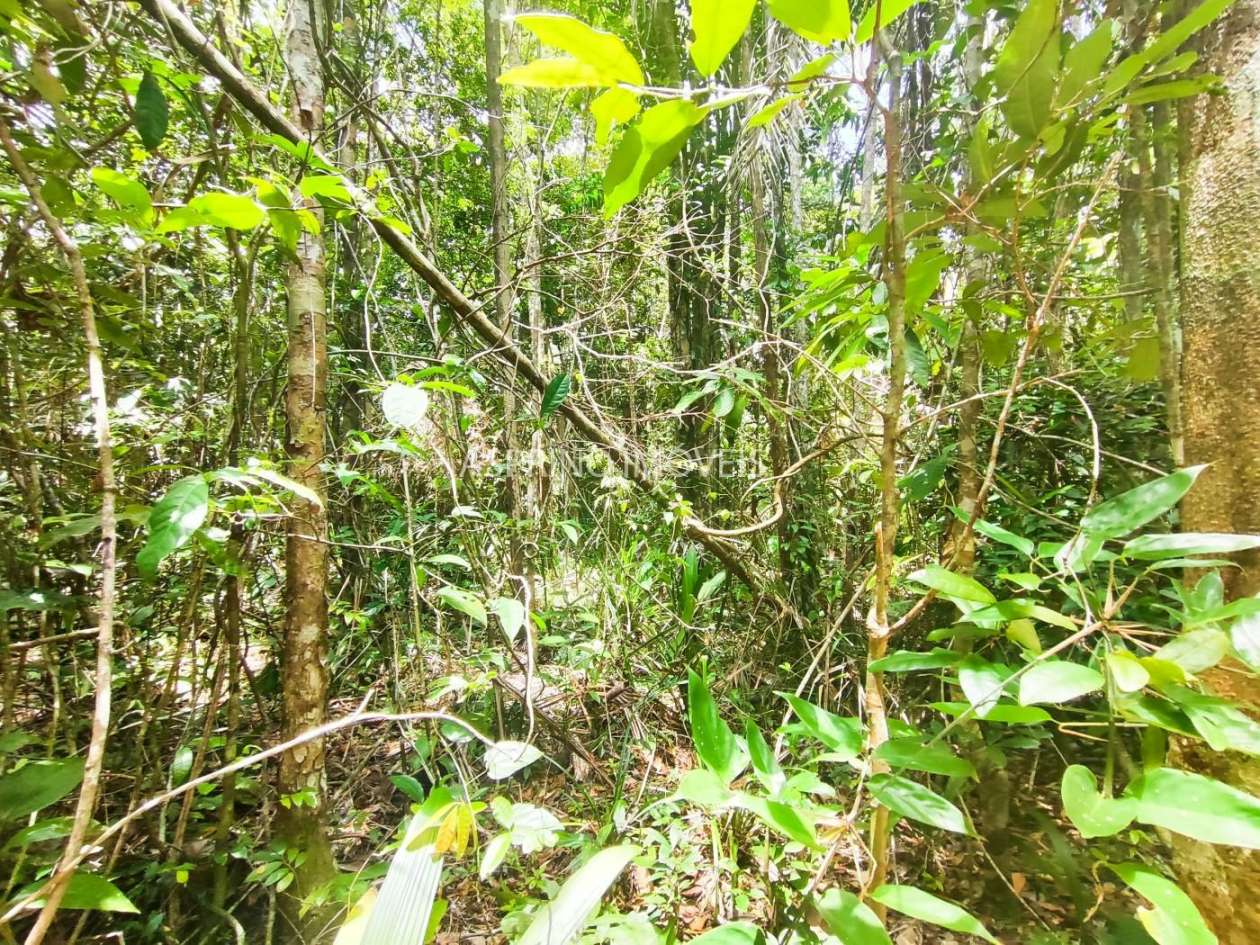 Terreno, 5 hectares - Foto 13