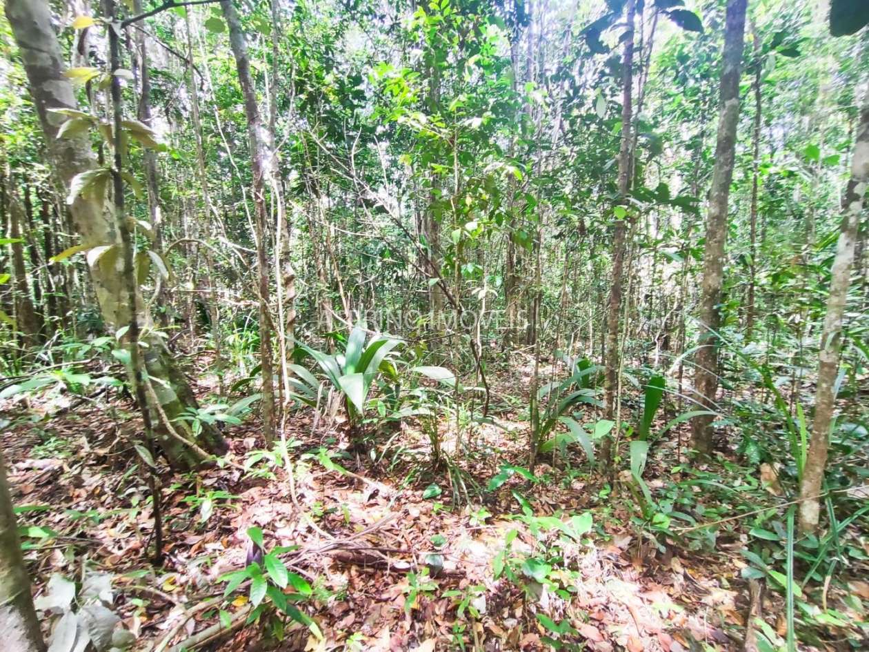 Terreno, 5 hectares - Foto 15
