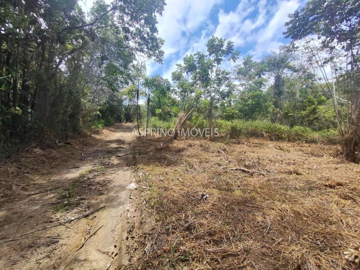 Terreno, 5 hectares - Foto 16