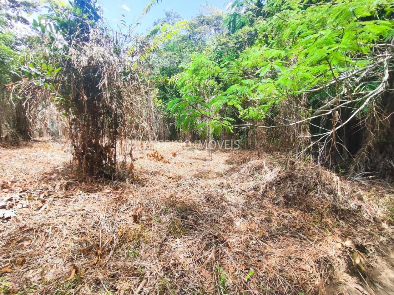 Terreno, 5 hectares - Foto 17
