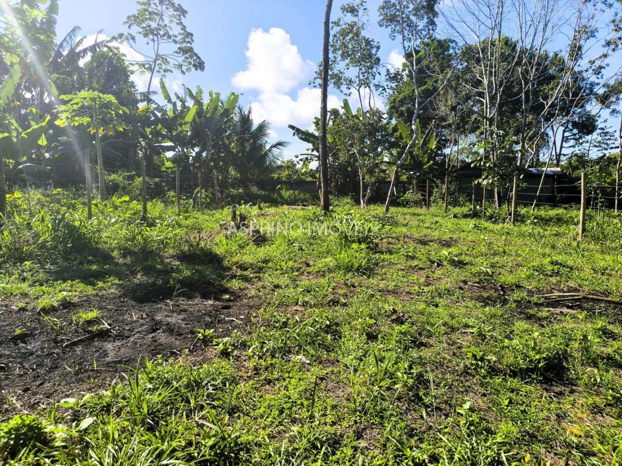 Terreno, 300 m² - Foto 12