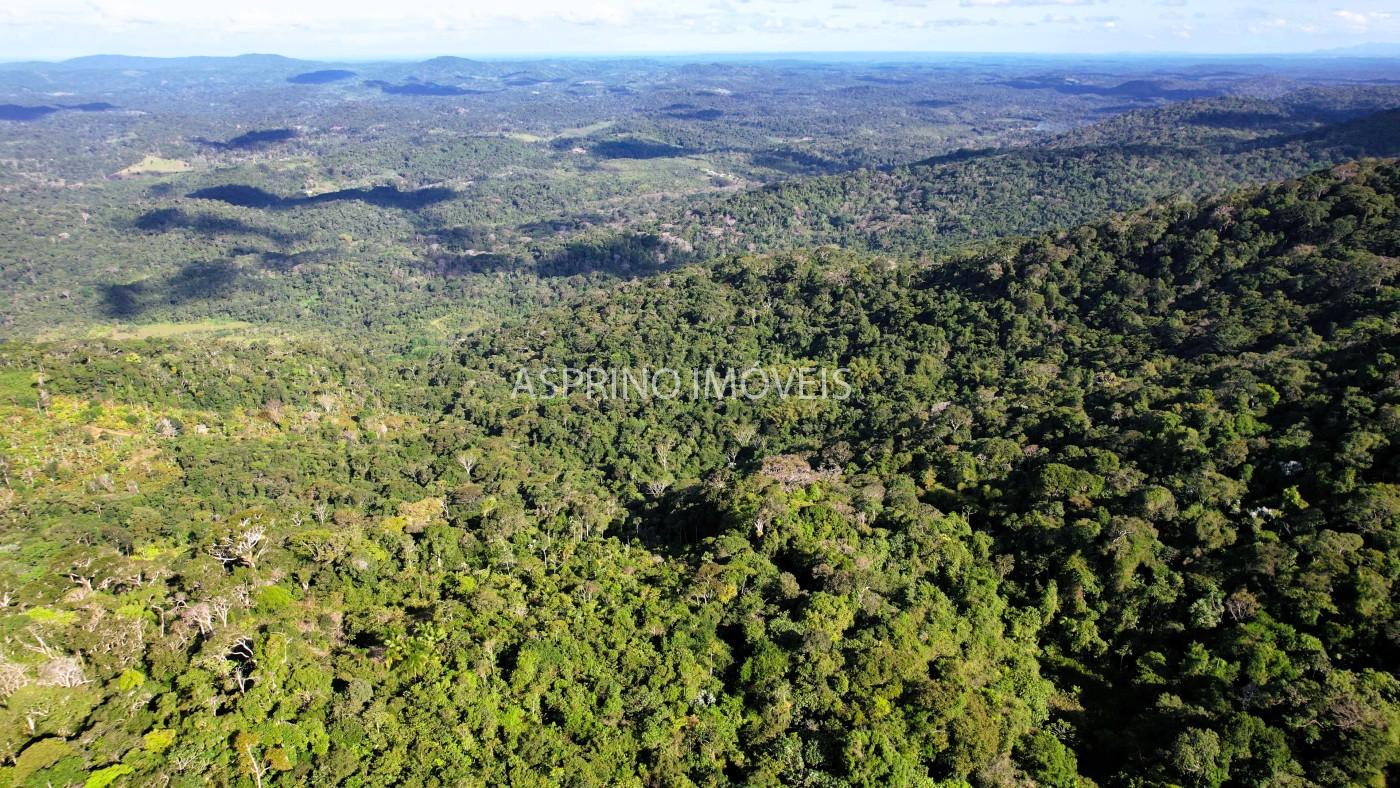 Fazenda, 52 hectares - Foto 2