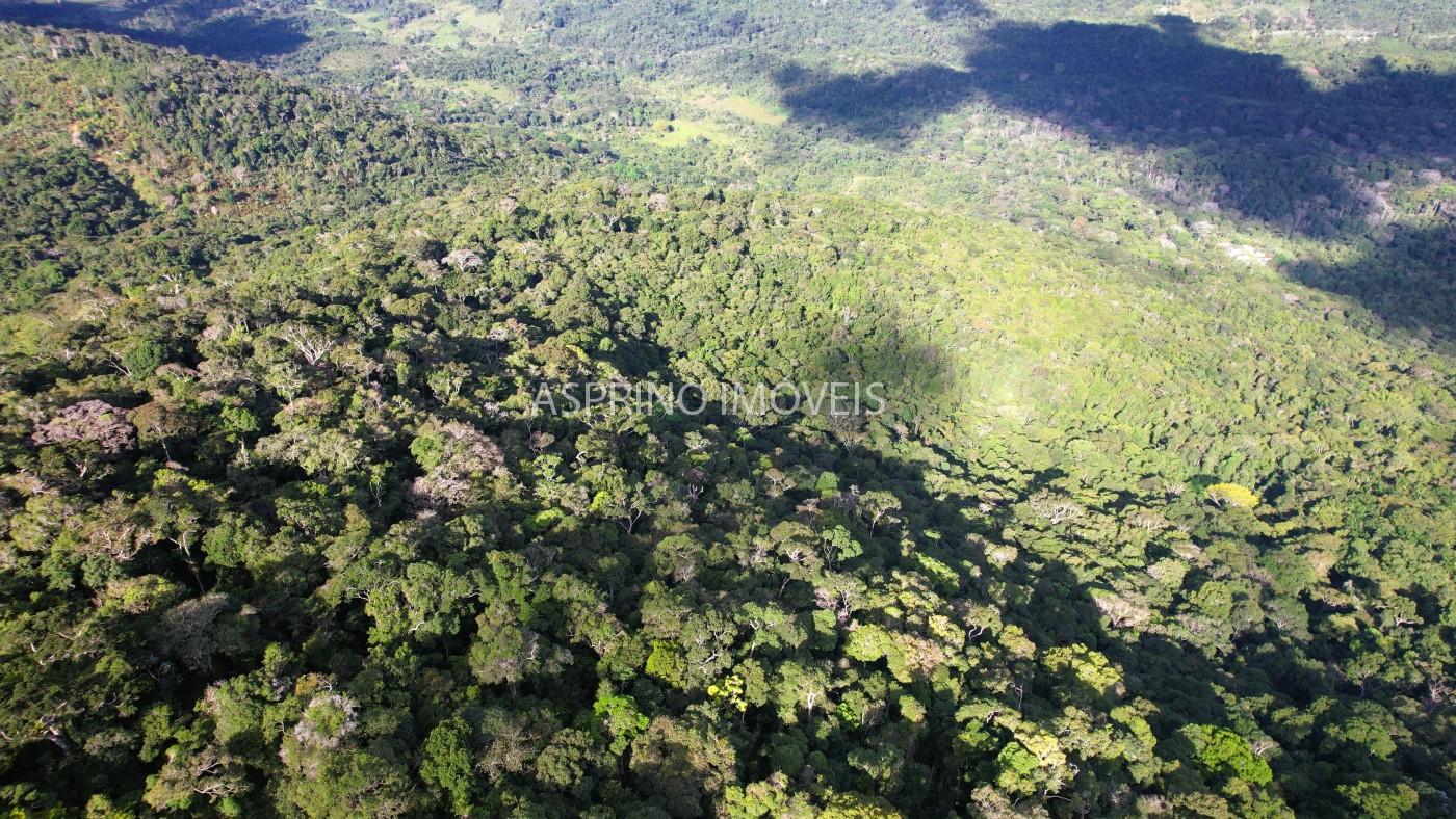 Fazenda, 52 hectares - Foto 4
