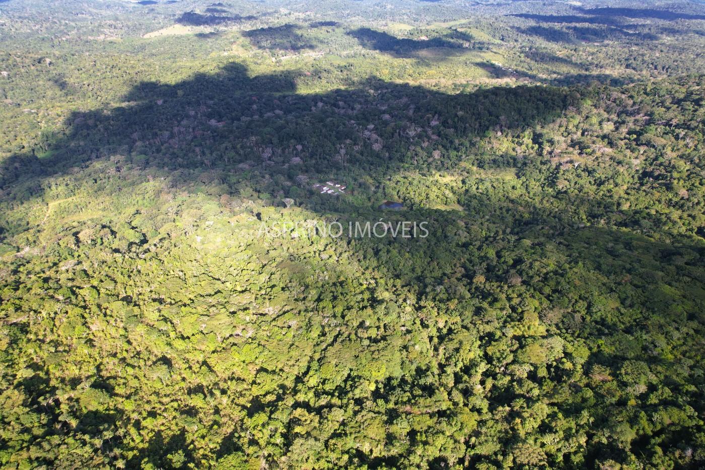 Fazenda, 52 hectares - Foto 6