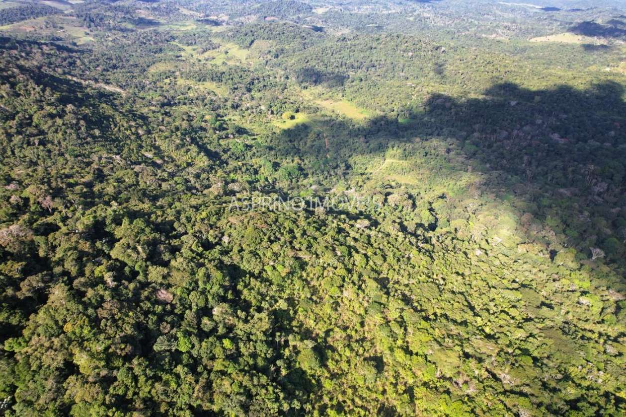 Fazenda, 52 hectares - Foto 7