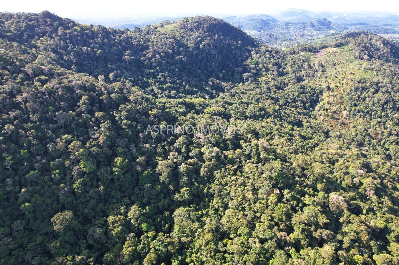 Fazenda, 52 hectares - Foto 8