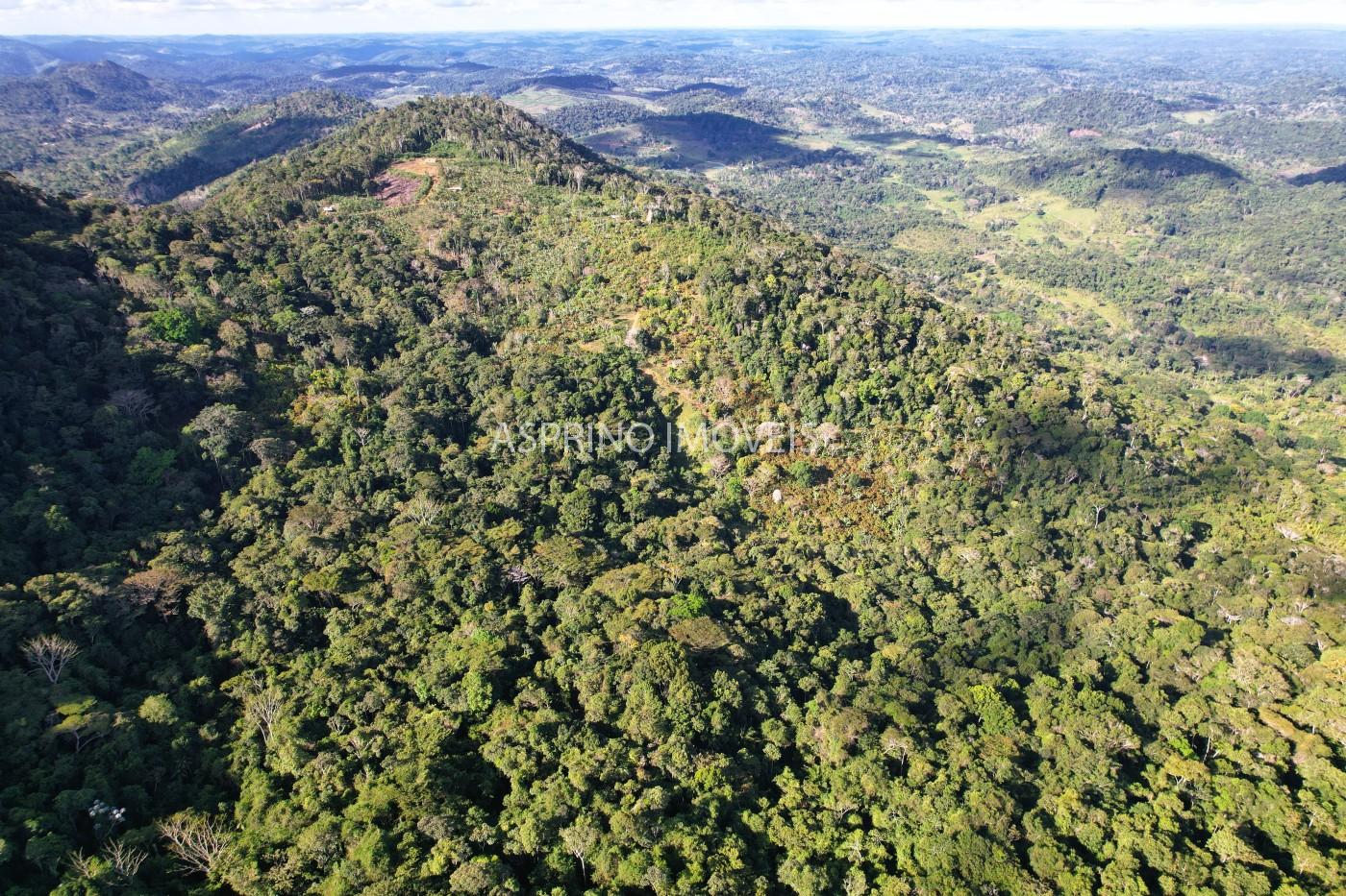 Fazenda, 52 hectares - Foto 10