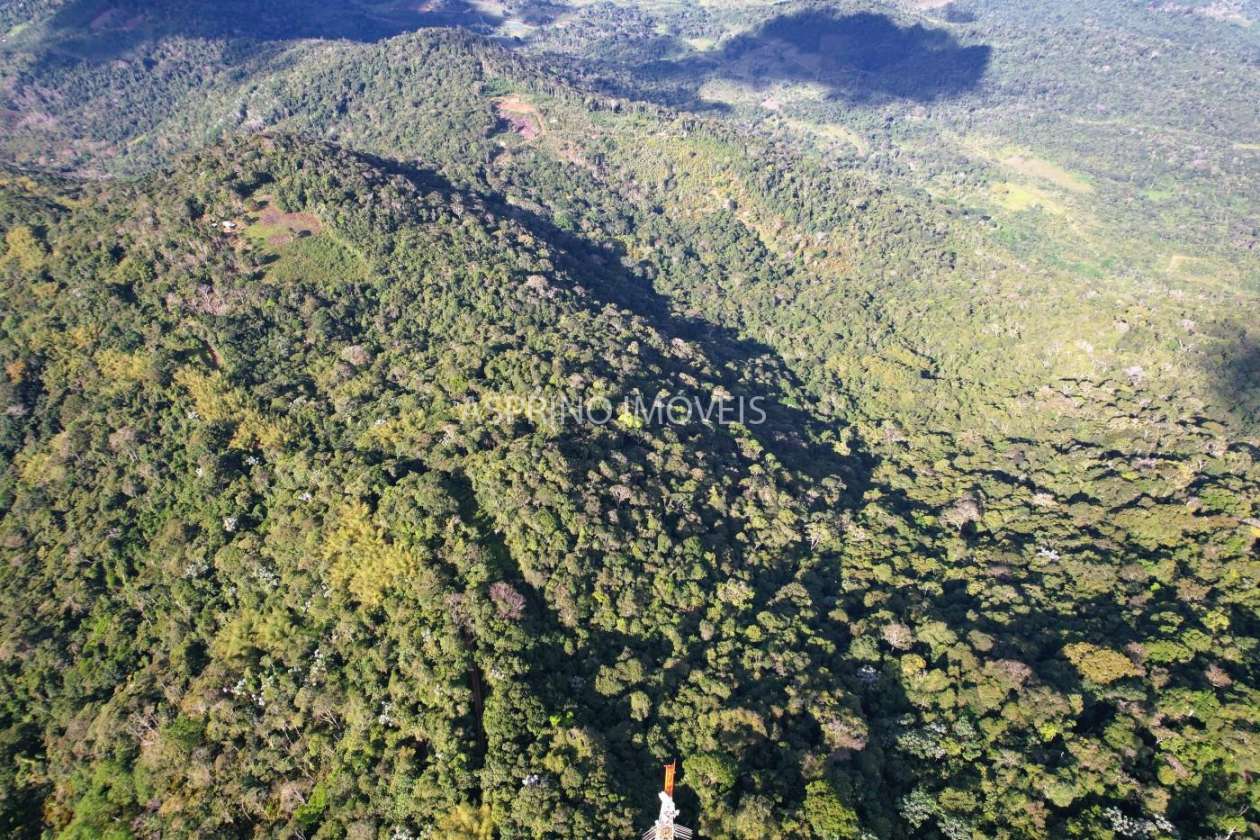 Fazenda, 52 hectares - Foto 11