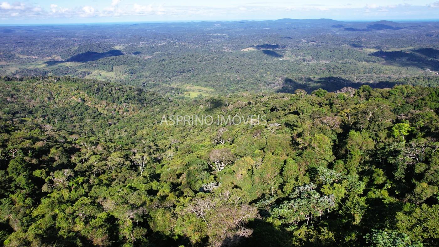 Fazenda, 52 hectares - Foto 12