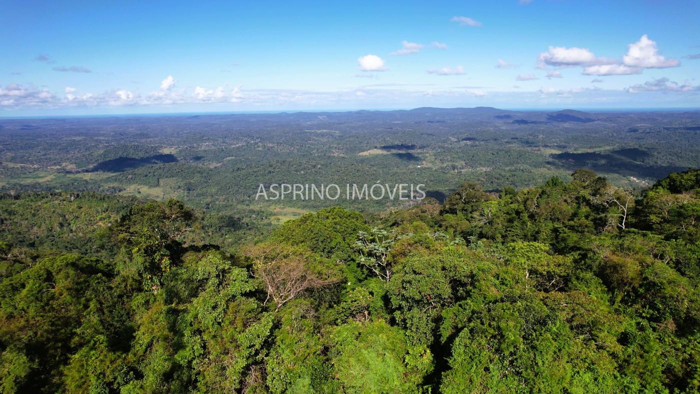 Fazenda, 52 hectares - Foto 1