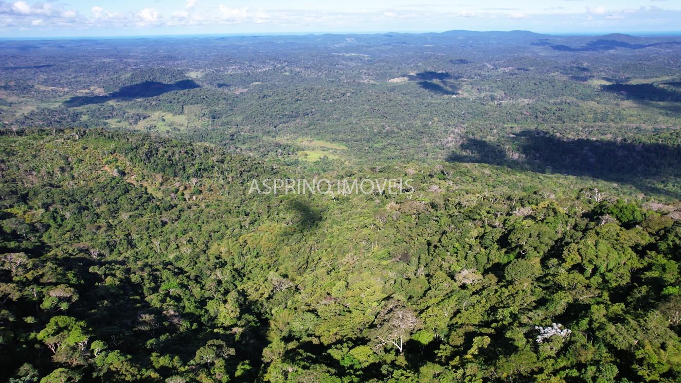 Fazenda, 52 hectares - Foto 13