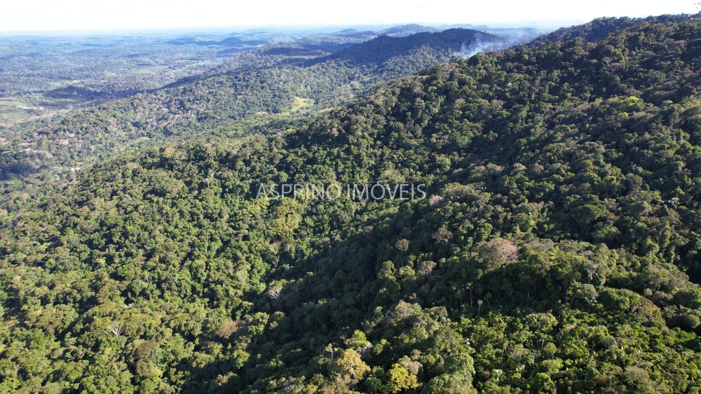 Fazenda, 52 hectares - Foto 14