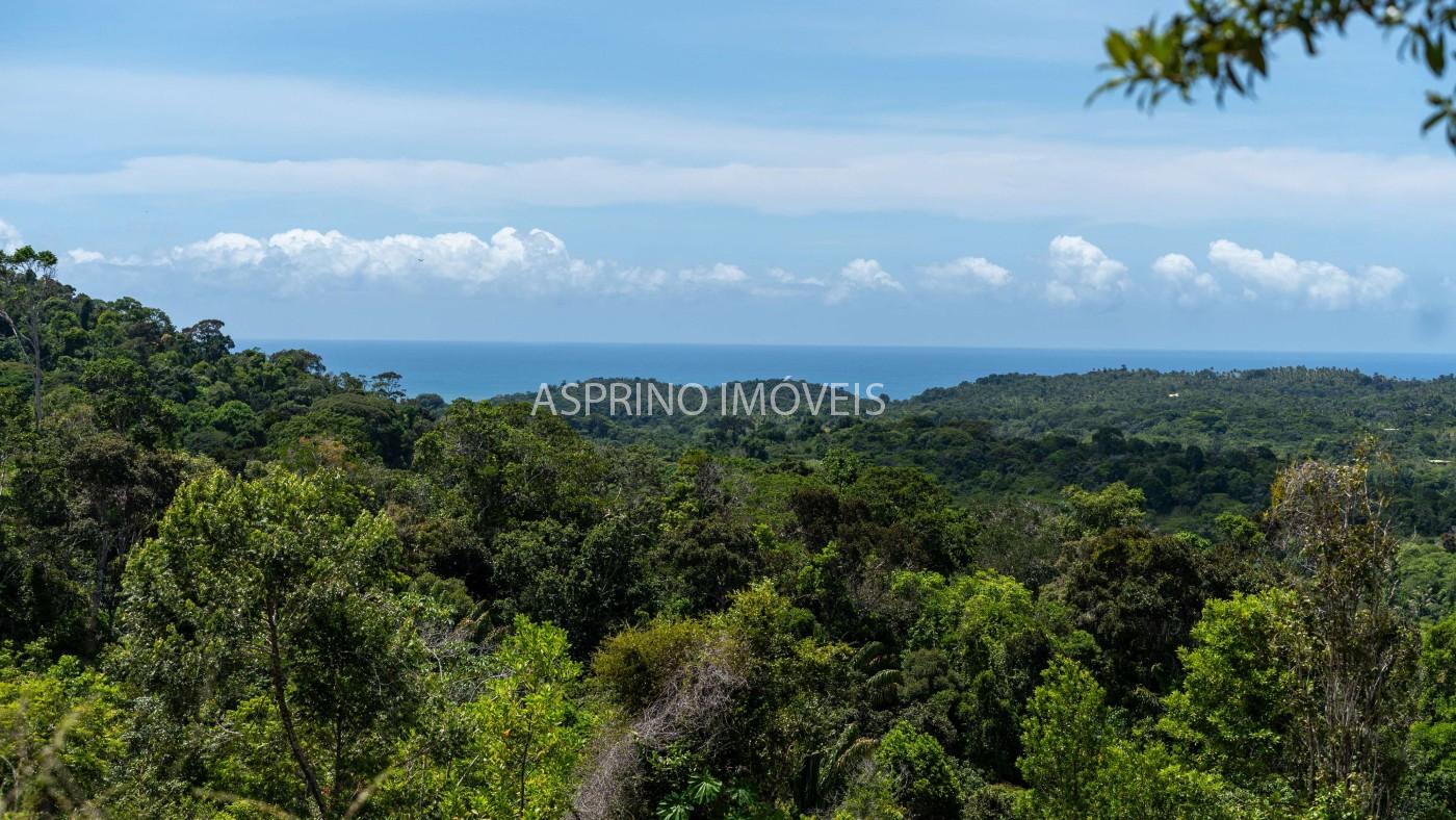 Fazenda, 2 hectares - Foto 4