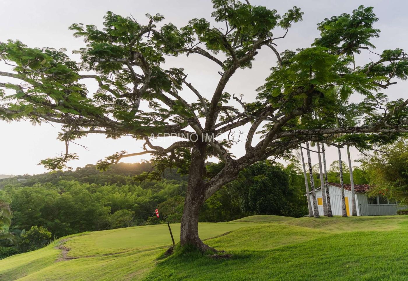 Fazenda, 2 hectares - Foto 13