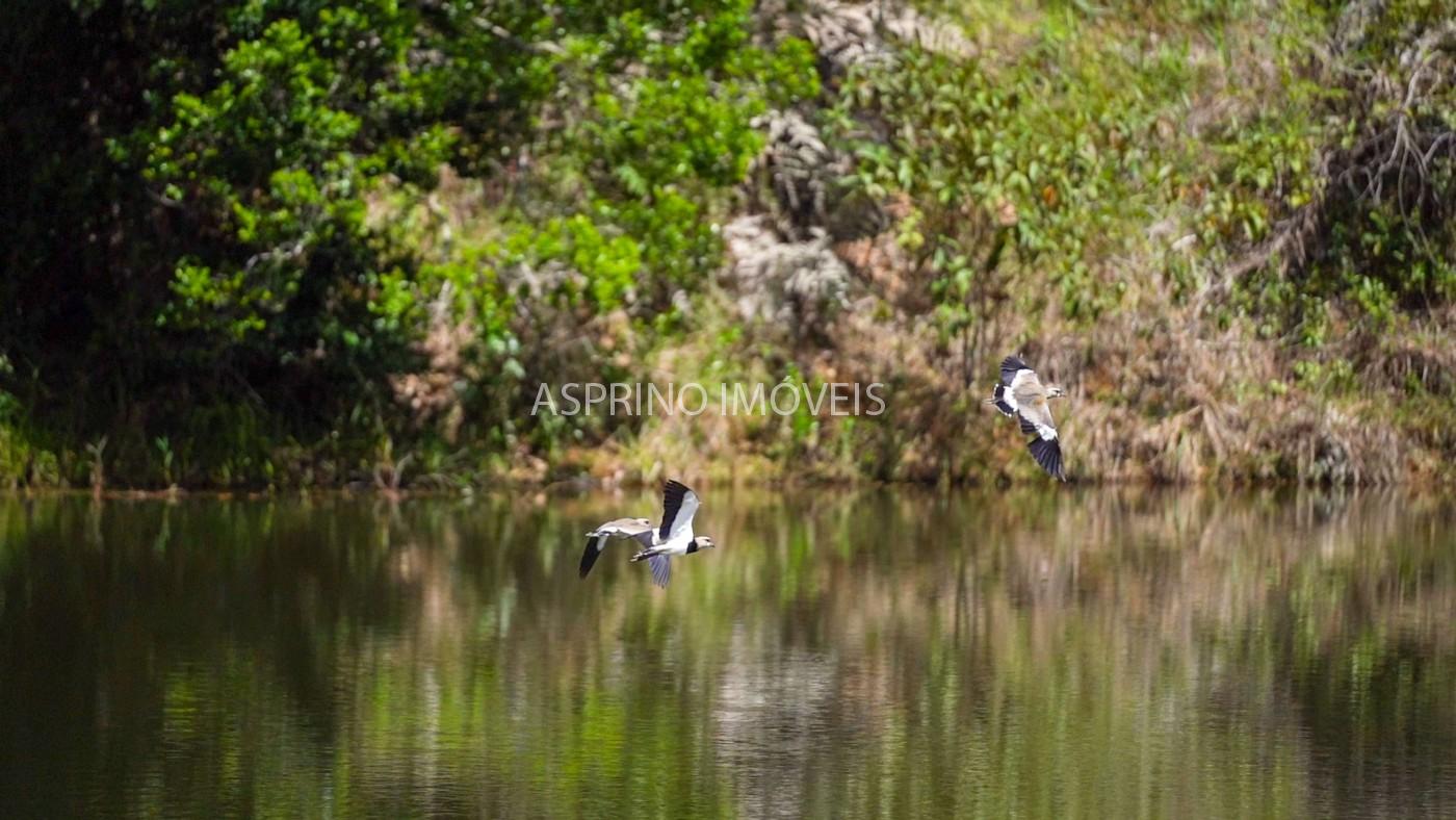 Fazenda, 2 hectares - Foto 10