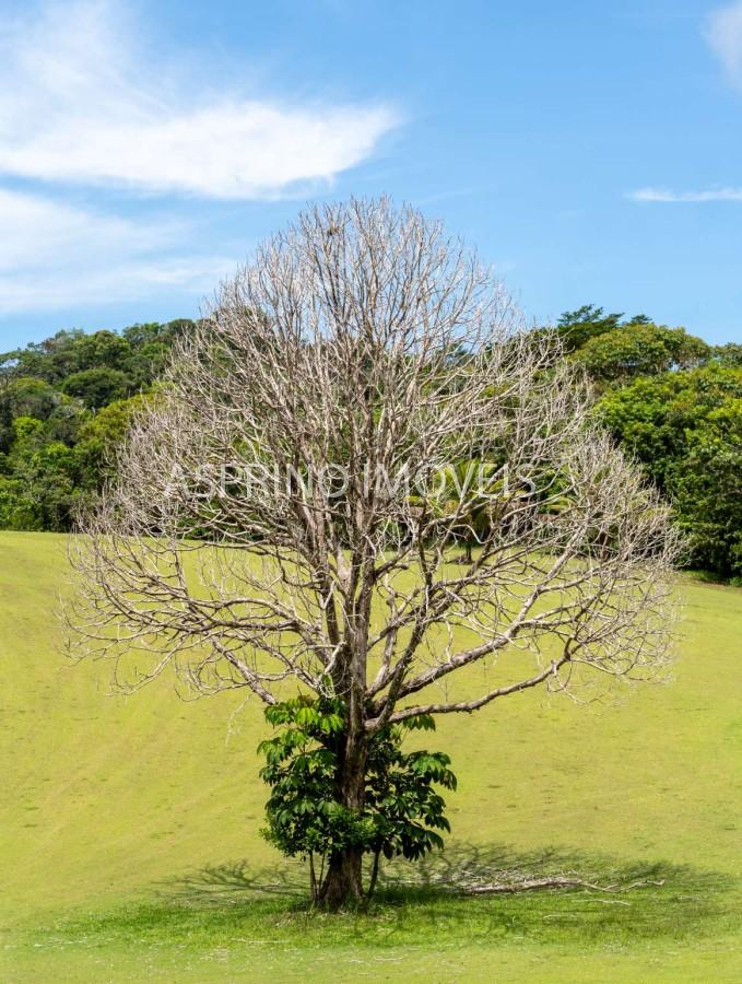 Fazenda, 2 hectares - Foto 17