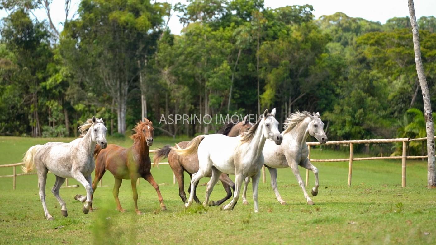 Fazenda, 2 hectares - Foto 12