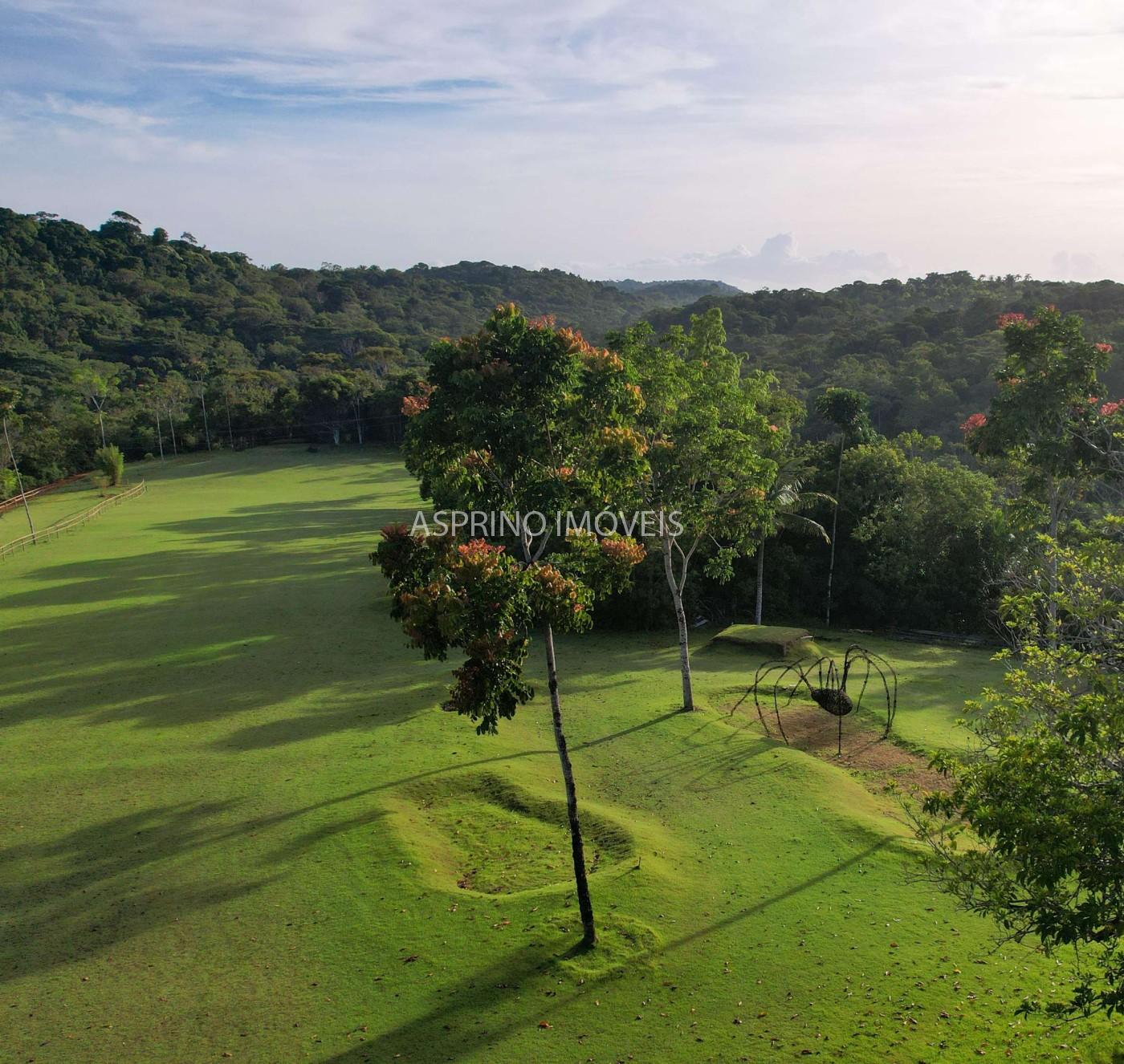 Fazenda, 2 hectares - Foto 16