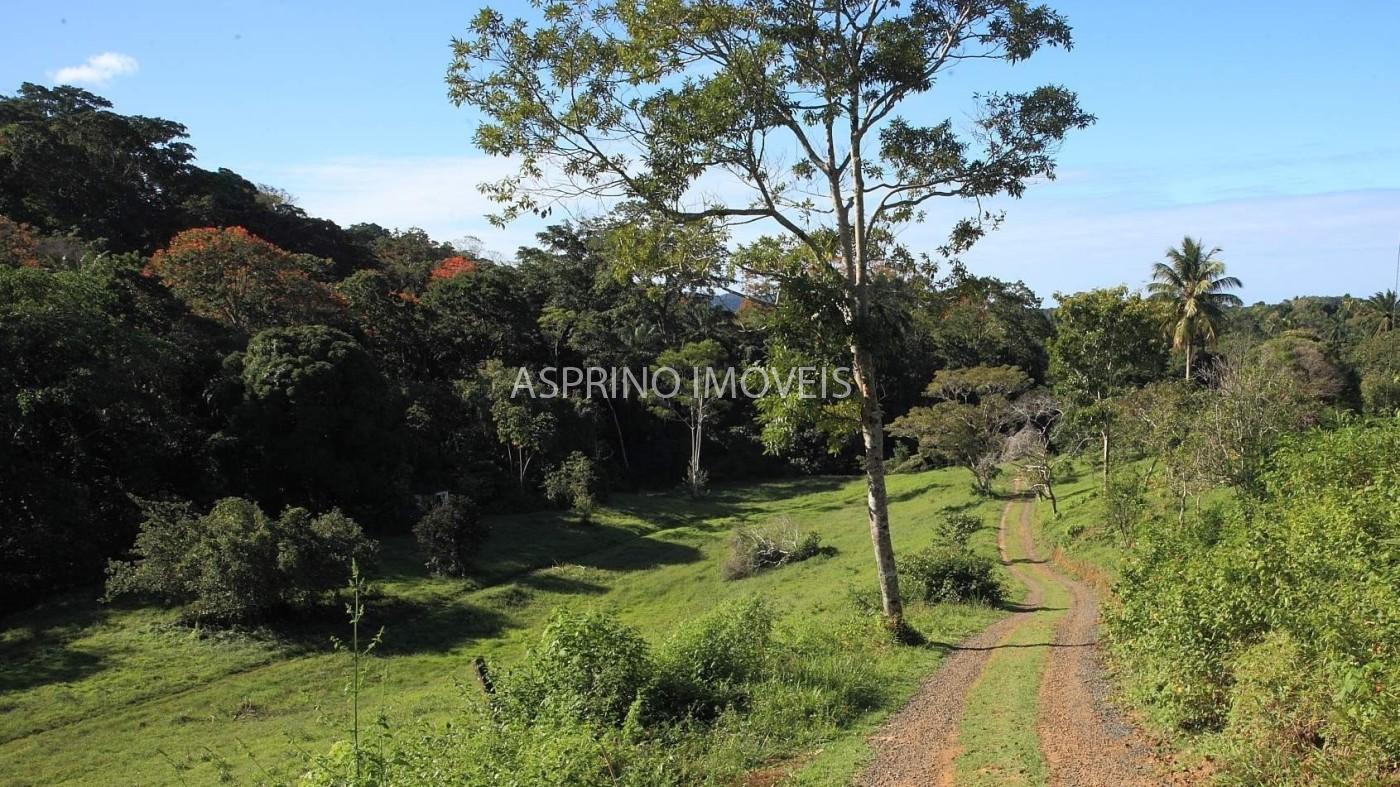 Fazenda, 2 hectares - Foto 8