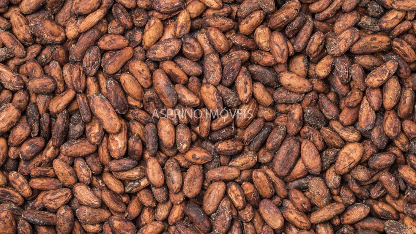 Fazenda, 2 hectares - Foto 14