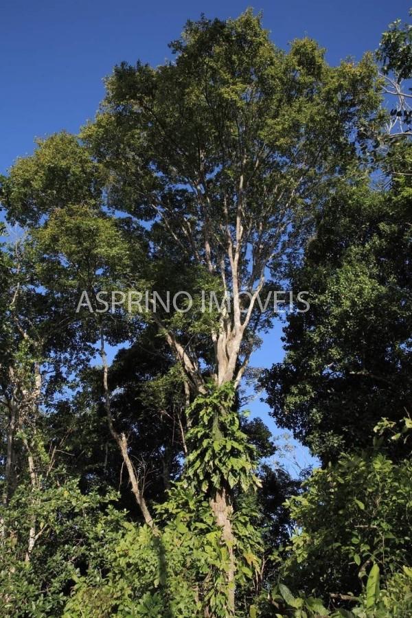Fazenda, 2 hectares - Foto 7