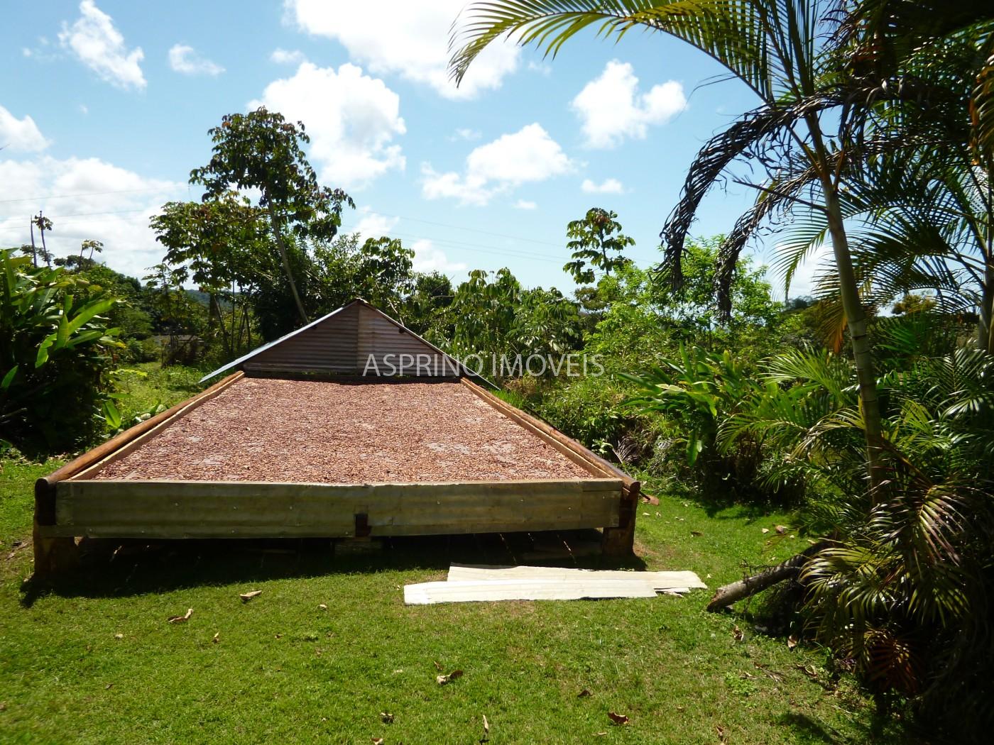 Fazenda, 2 hectares - Foto 15