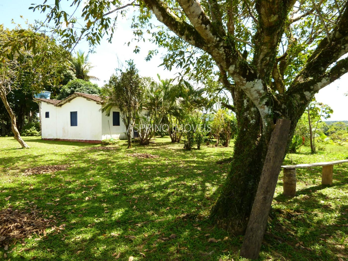 Fazenda, 2 hectares - Foto 16