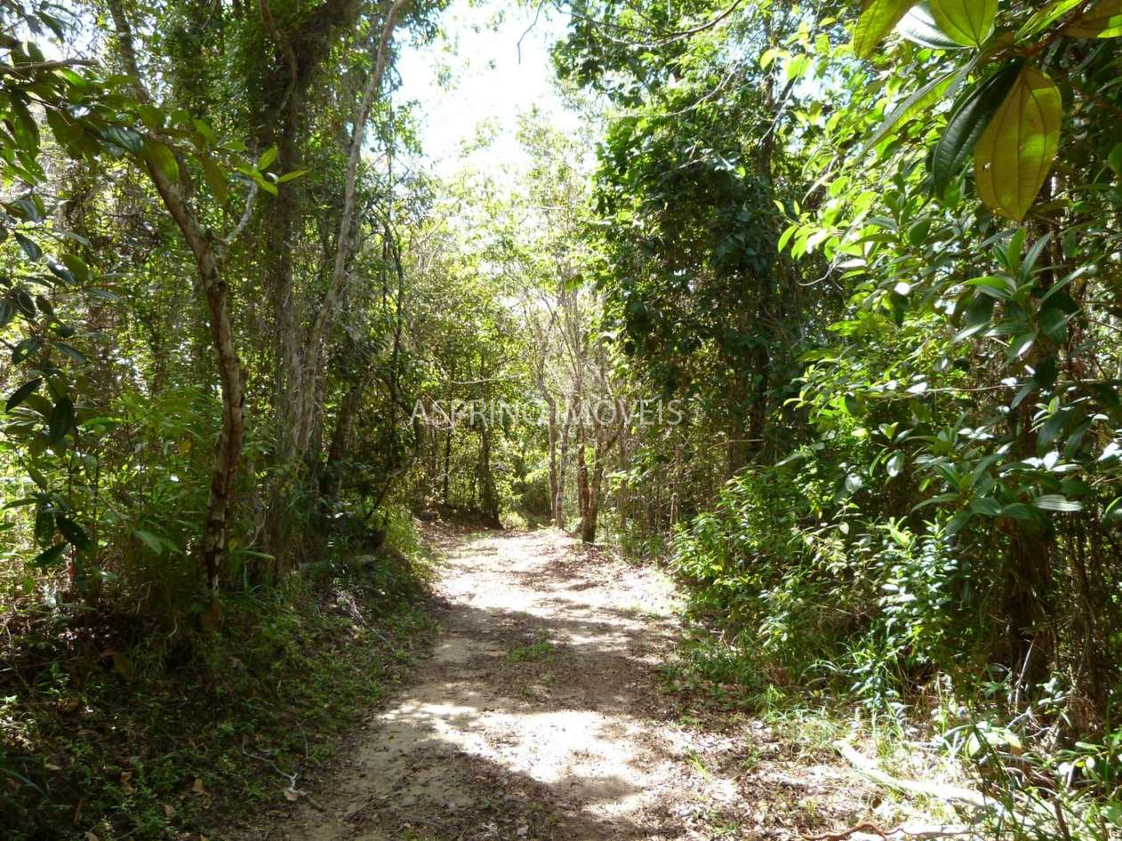 Fazenda, 2 hectares - Foto 19
