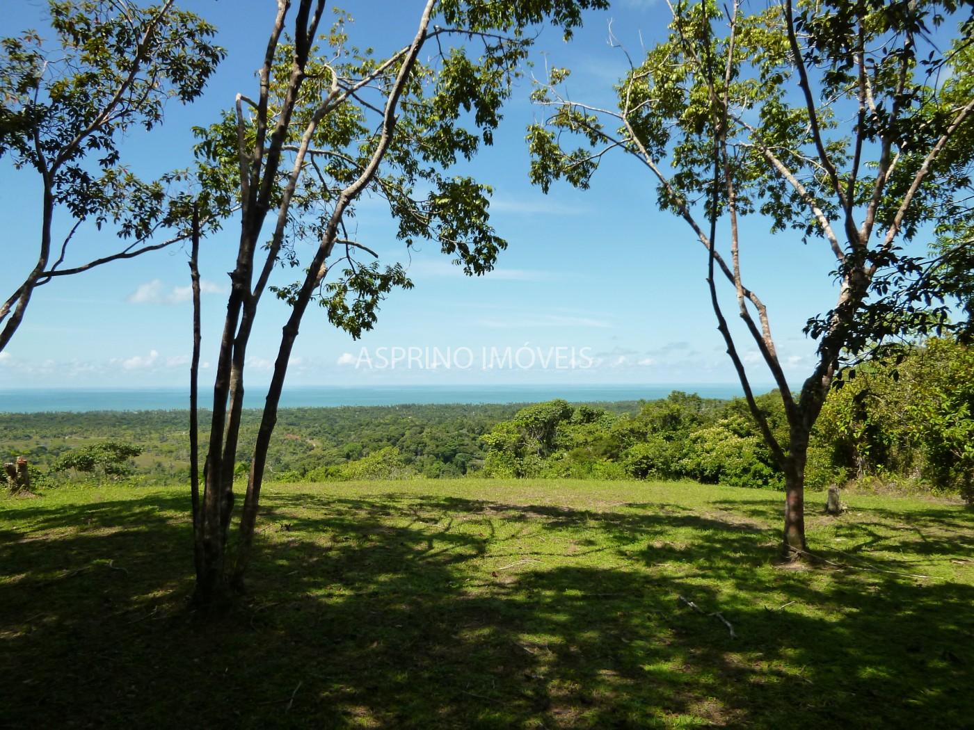 Fazenda, 2 hectares - Foto 1