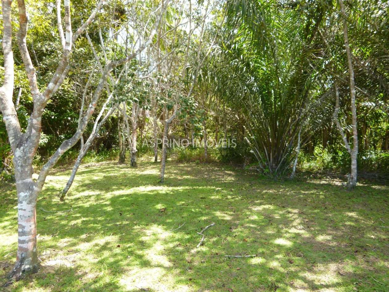 Fazenda, 2 hectares - Foto 6