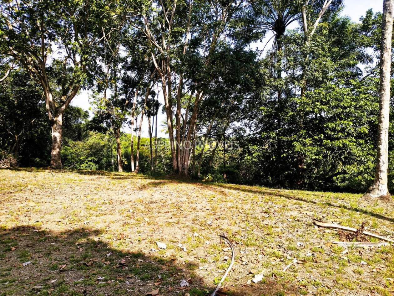Sítio, 2 hectares - Foto 9