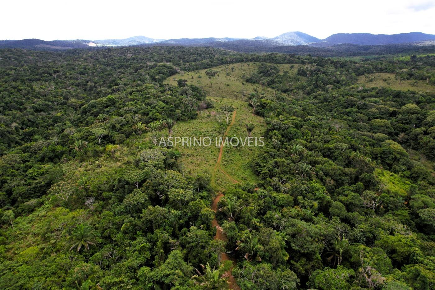 Fazenda, 183 hectares - Foto 30