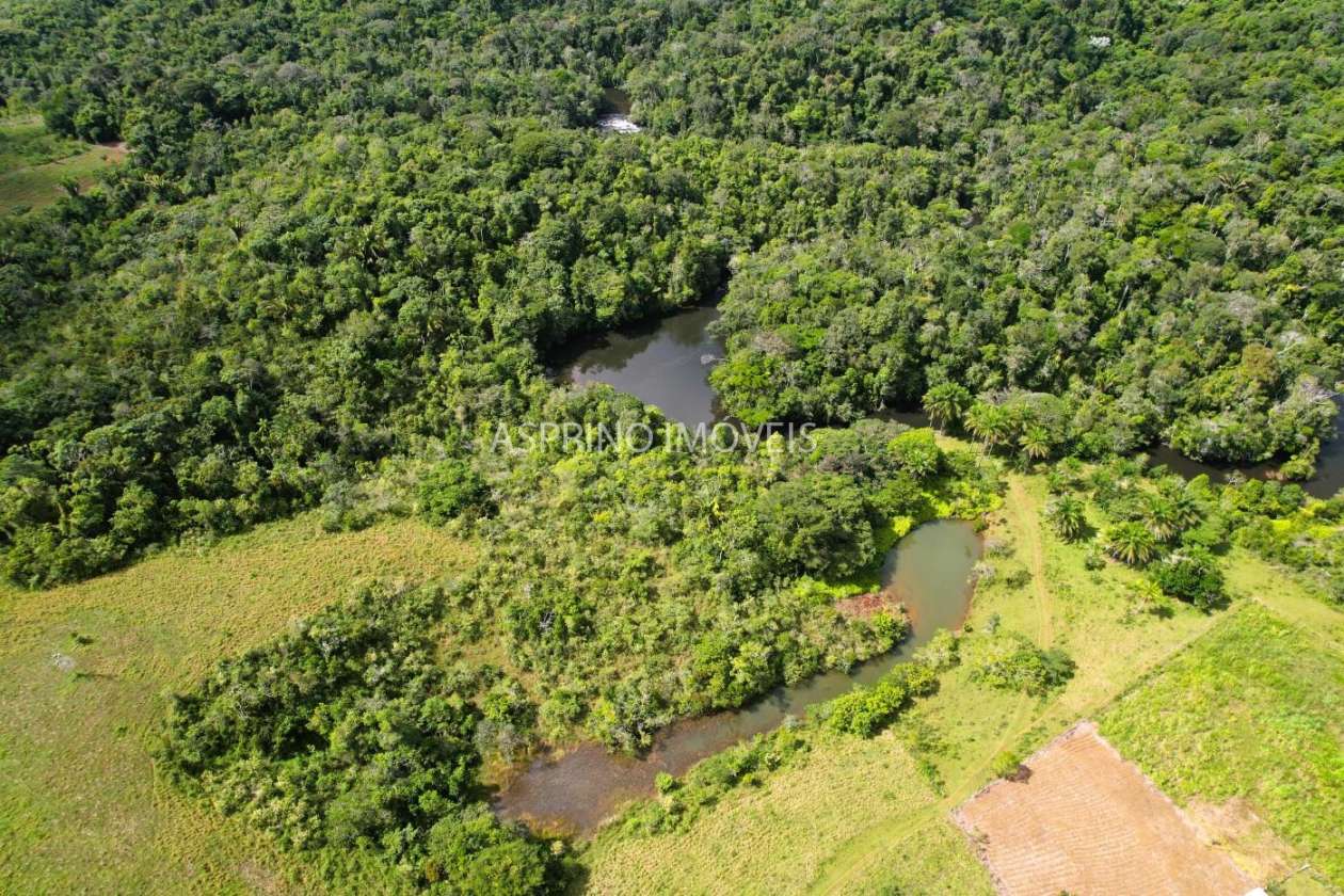 Fazenda, 183 hectares - Foto 23