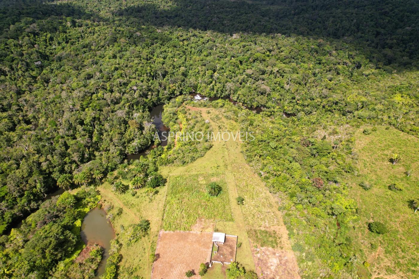 Fazenda, 183 hectares - Foto 24