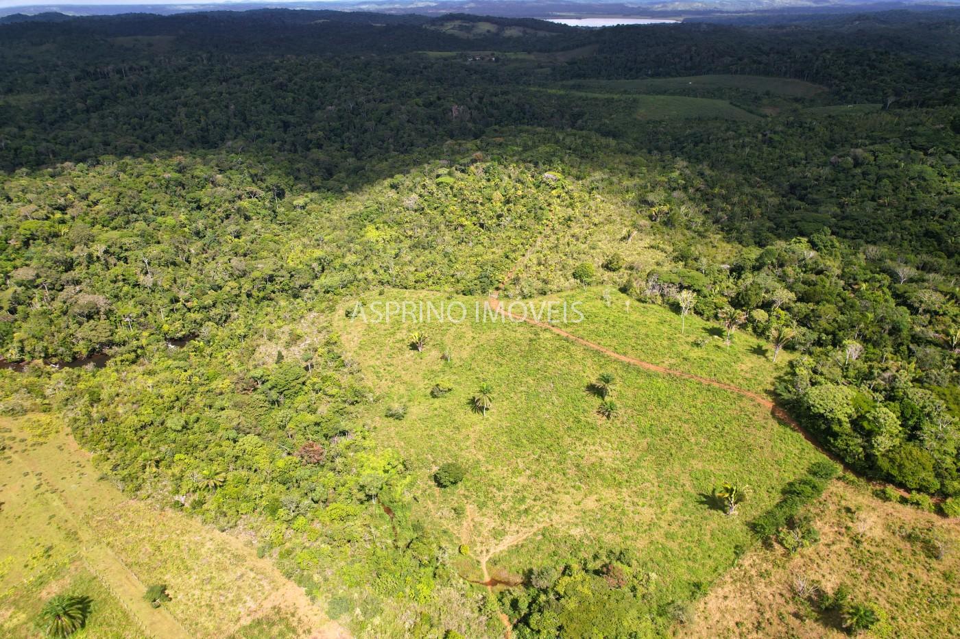 Fazenda, 183 hectares - Foto 25