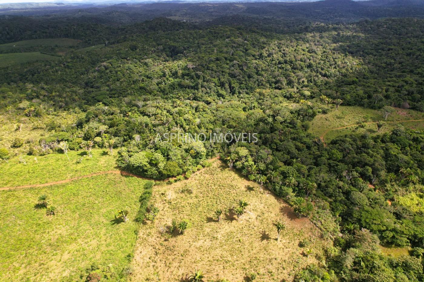 Fazenda, 183 hectares - Foto 26