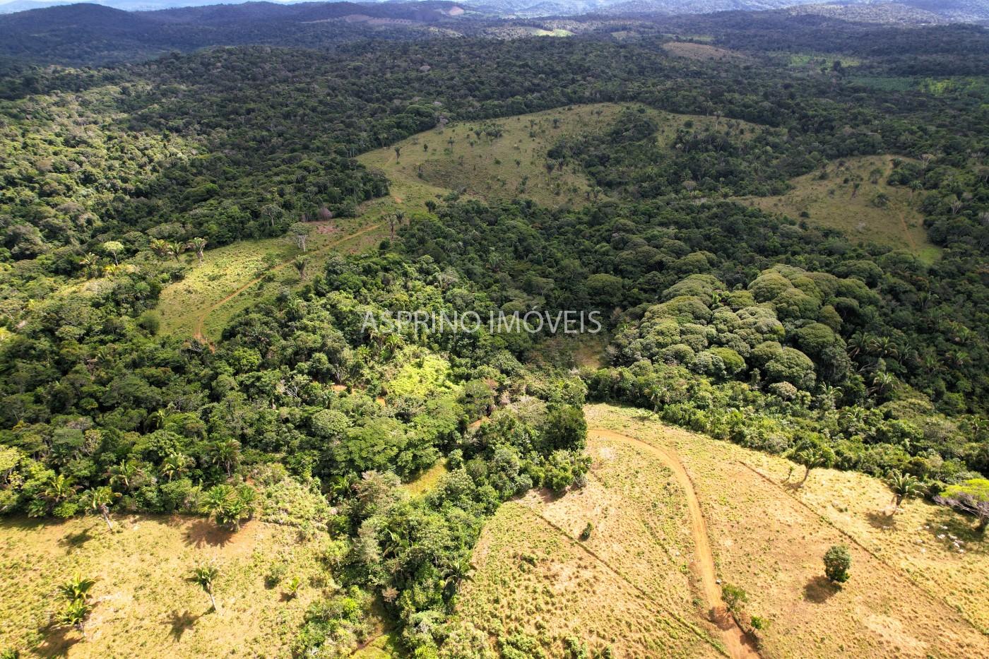 Fazenda, 183 hectares - Foto 27