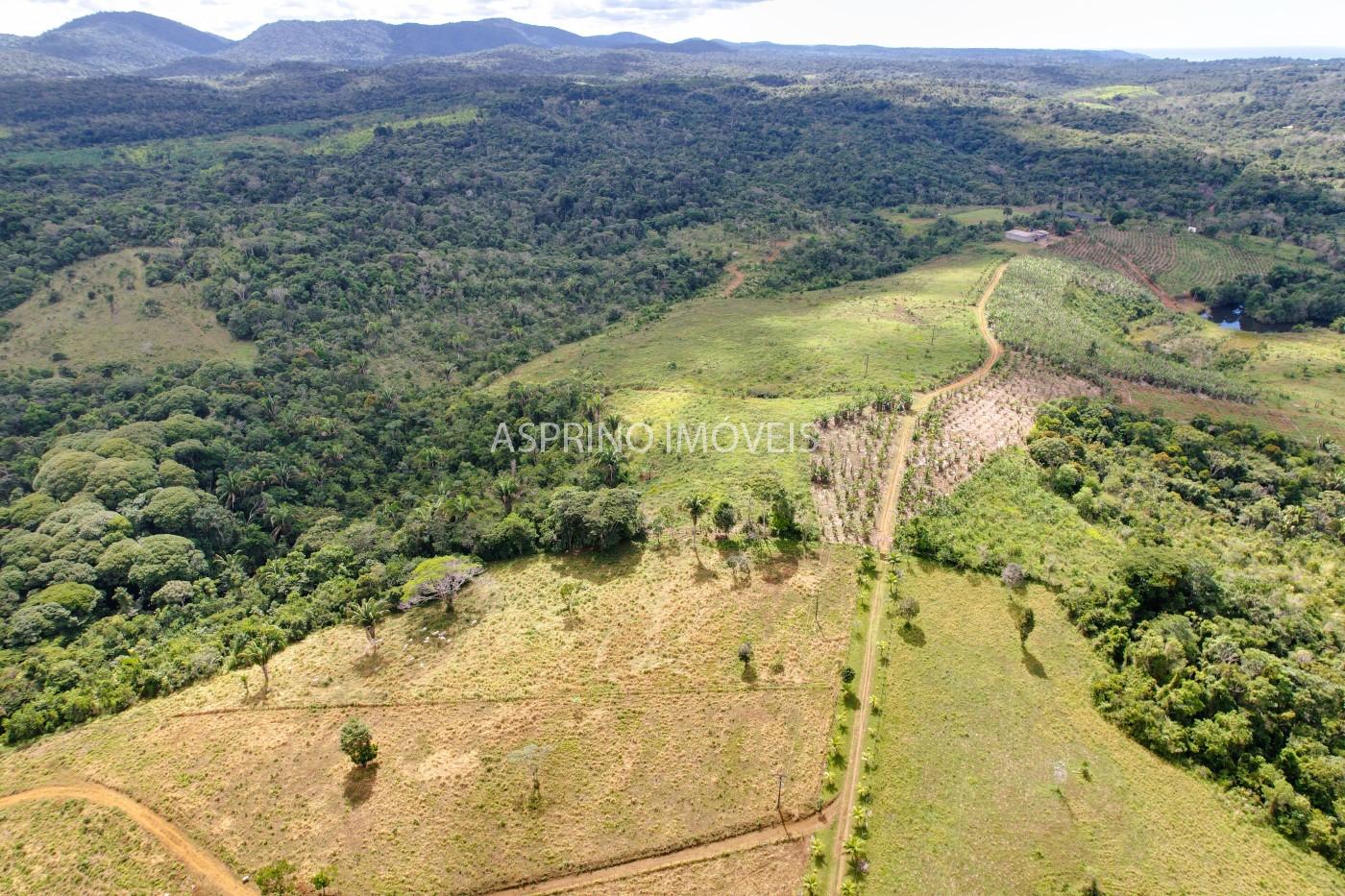 Fazenda, 183 hectares - Foto 28