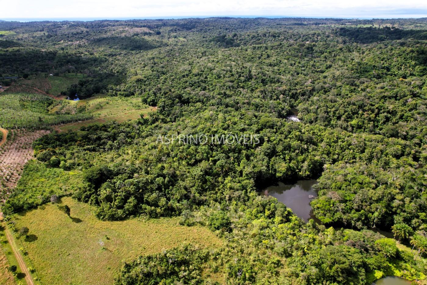 Fazenda, 183 hectares - Foto 29